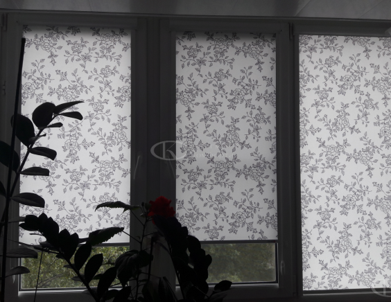 Портфолио Ролл шторы на пластиковые окна