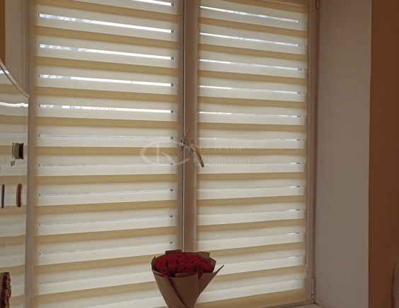 Портфолио шторы День-Ночь Мини