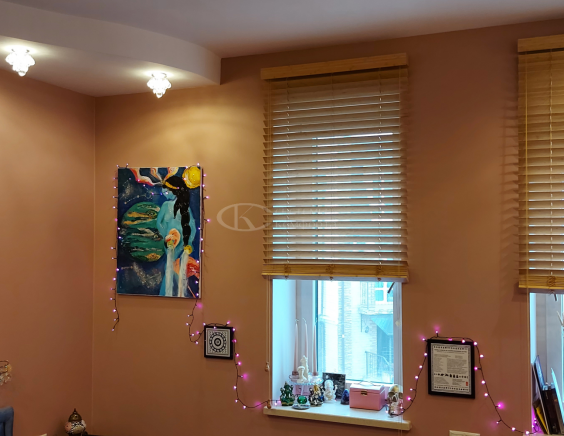 Горизонтальные жалюзи