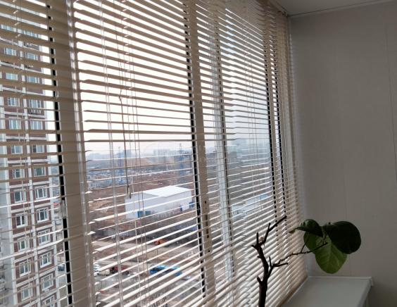 Горизонтальные жалюзи