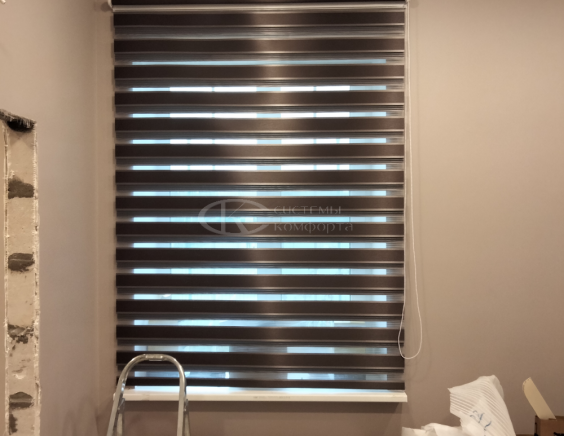 Портфолио шторы День-Ночь Мини